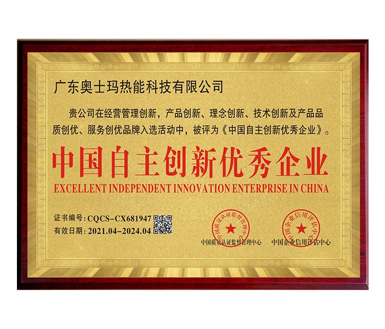 中國自主創新優秀企業